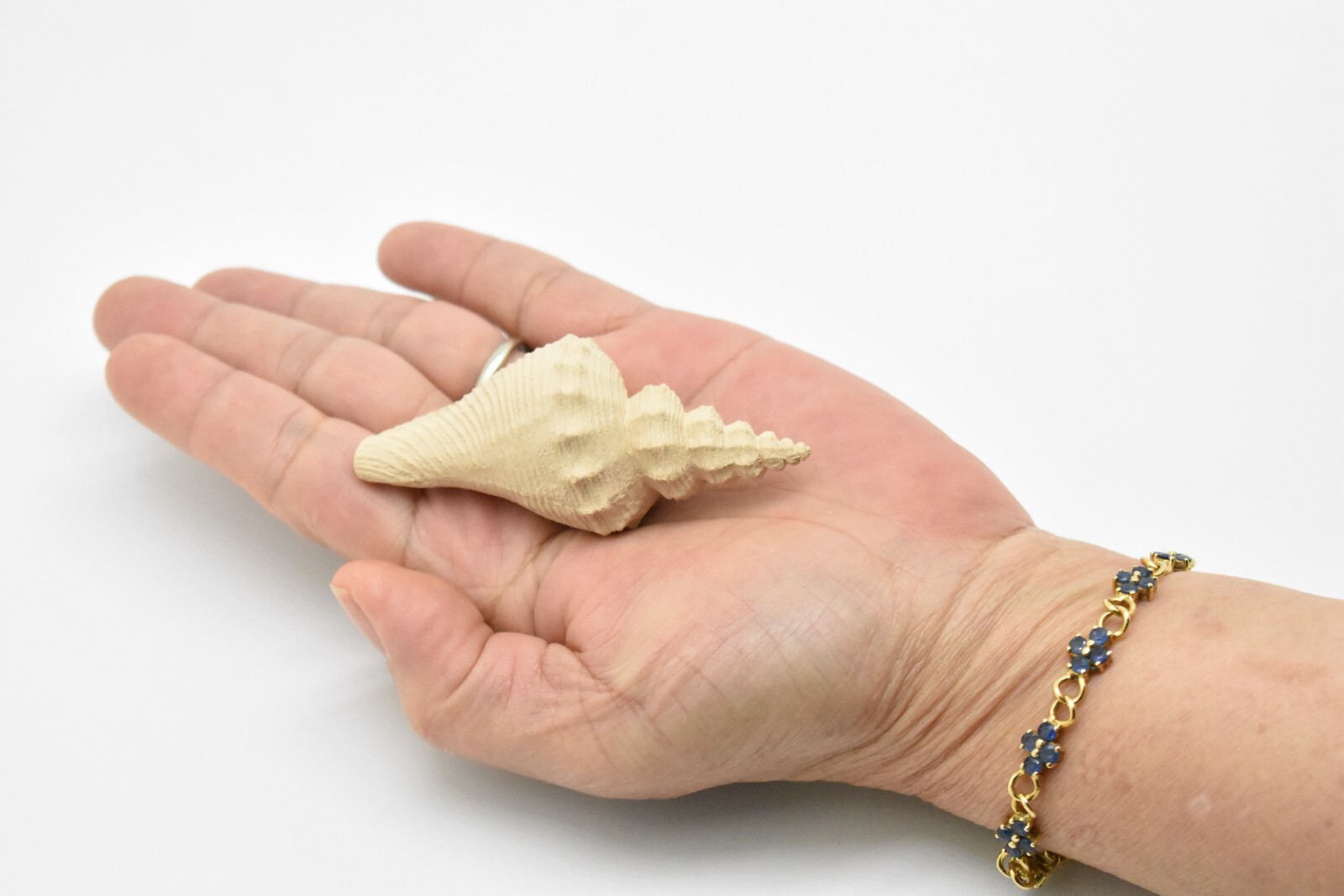 Tuba Shell Toy, White, Sea Snail, Ocean, Sea Shell, Gift, 3″ F4112 B96