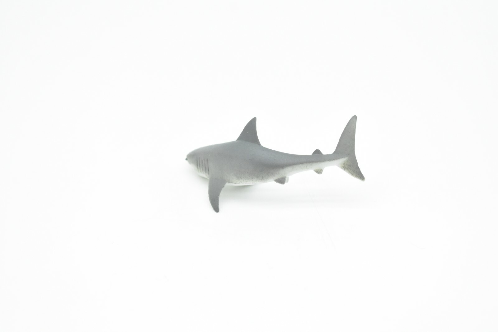 Great White Shark, Curved, Very Nice Rubber Replica 3″ – F224 B36