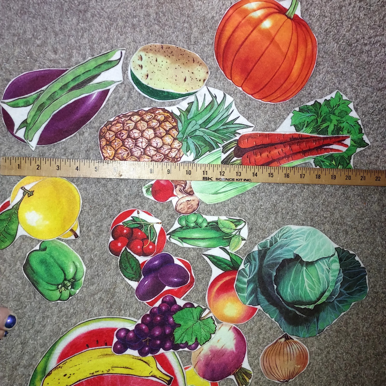 Fruits & Veggies Flannel Figures for Flannel Boards Interactive Teaching health