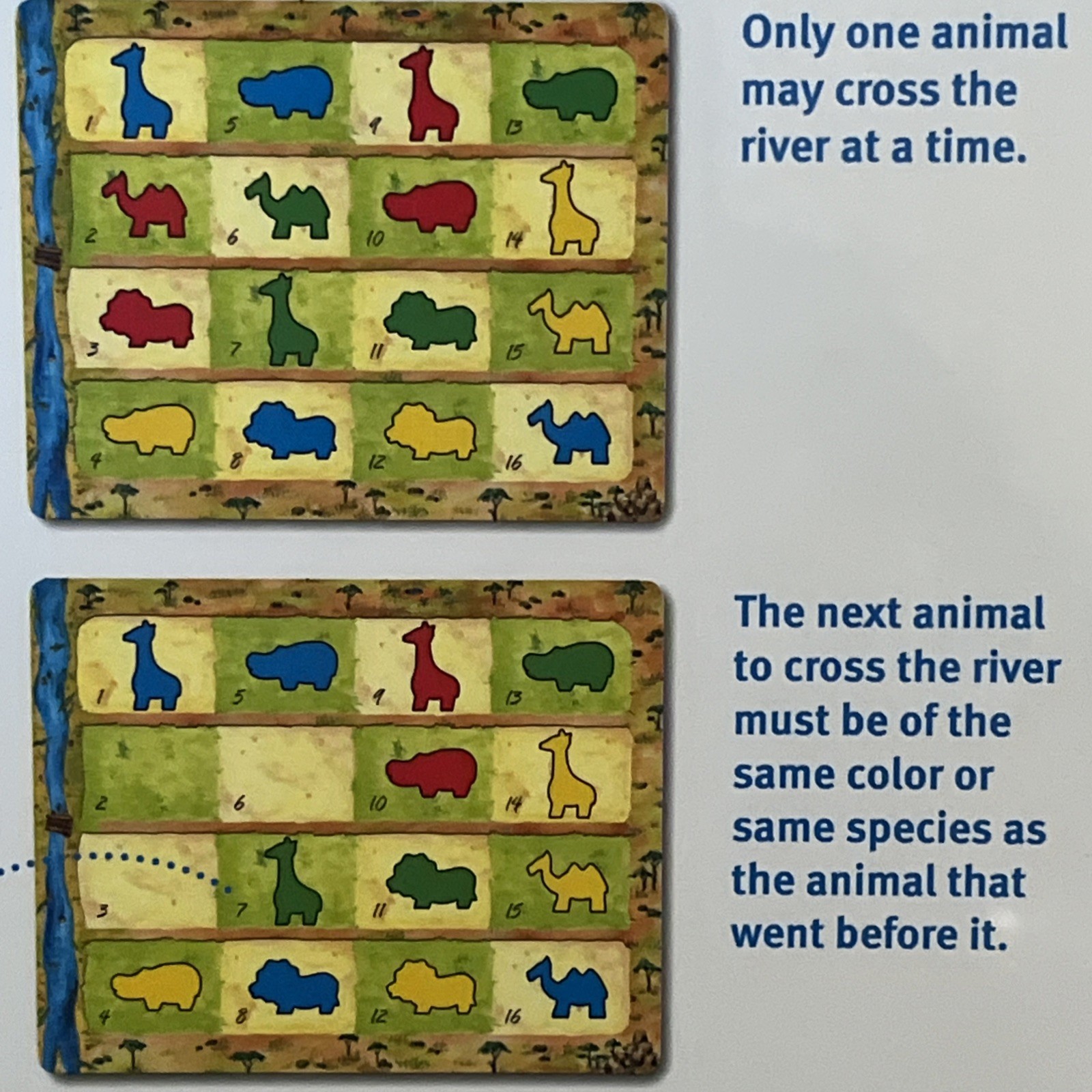 ANIMALOGIC Solve the Puzzle to Stop the Stampede Kids Game – Fat Brain Toy Co