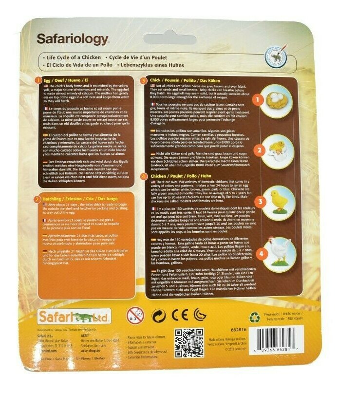 Chicken, Life Cycle, Realistic Toy Plastic Replica model set, Kids Gift F3684