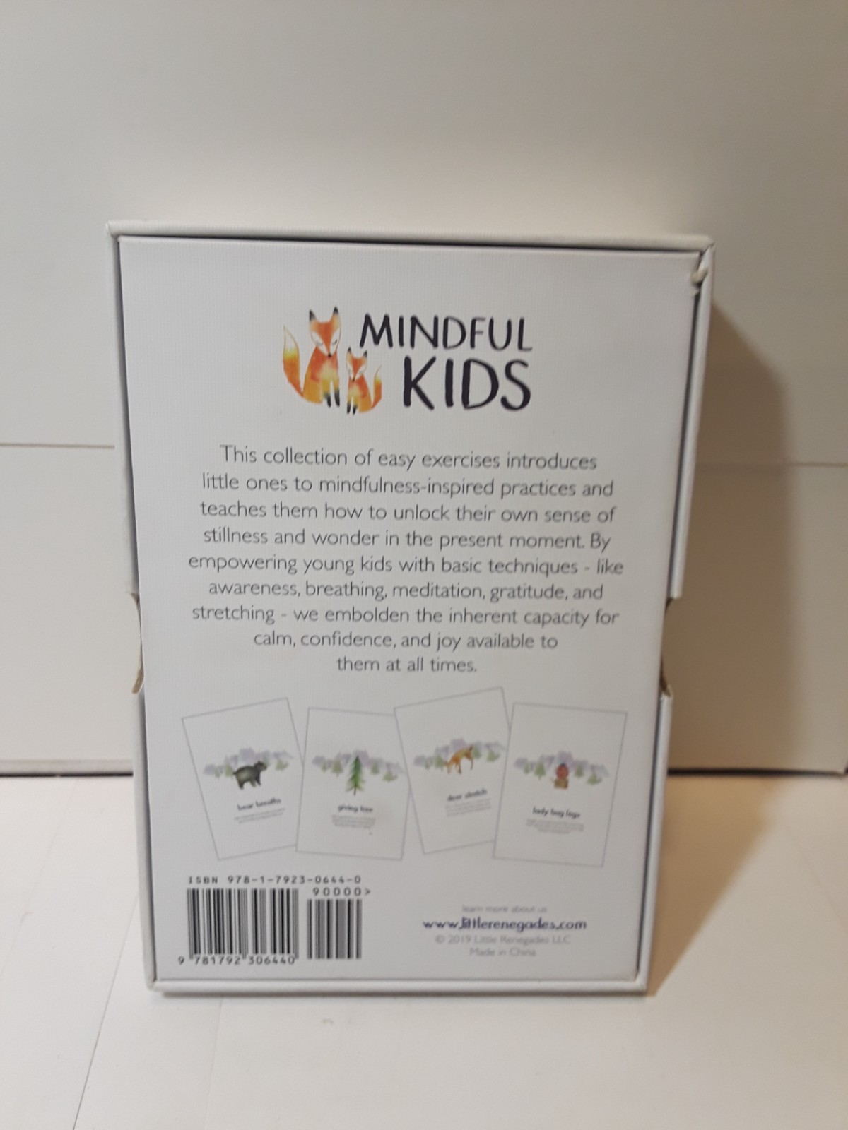 Little Renegades Mindful Kids Cards Ages 3+ Daily Exercises of Mindfulness