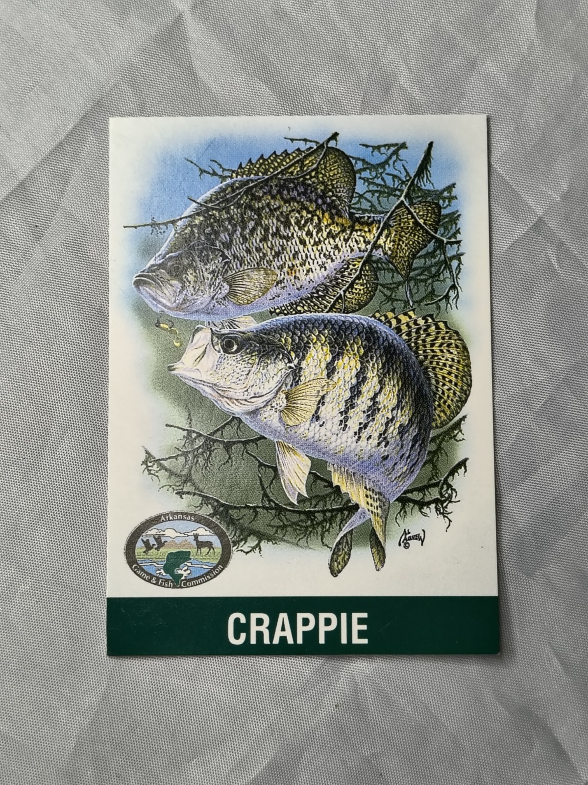 Random Lot Of 26 Cards Of Arkansas Game And Fish Mammal And Fish Informational