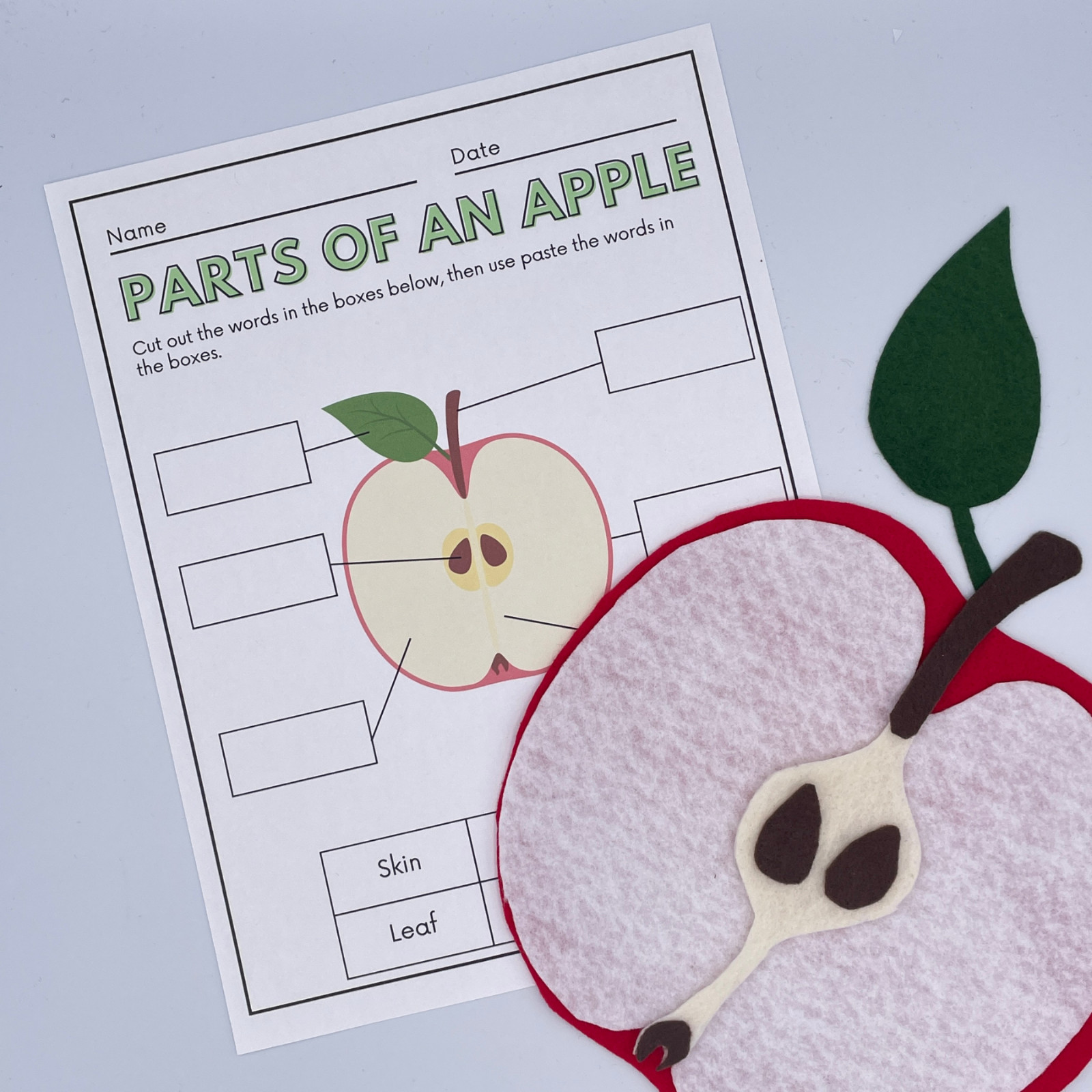 Parts of an Apple Science Felt Story Set for Felt/Flannel Board with Worksheet