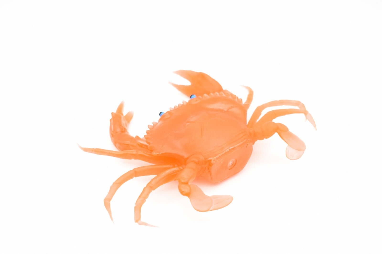 Orange Crab, With Squeak, Very Nice Rubber Replica 7″ F1764 B188