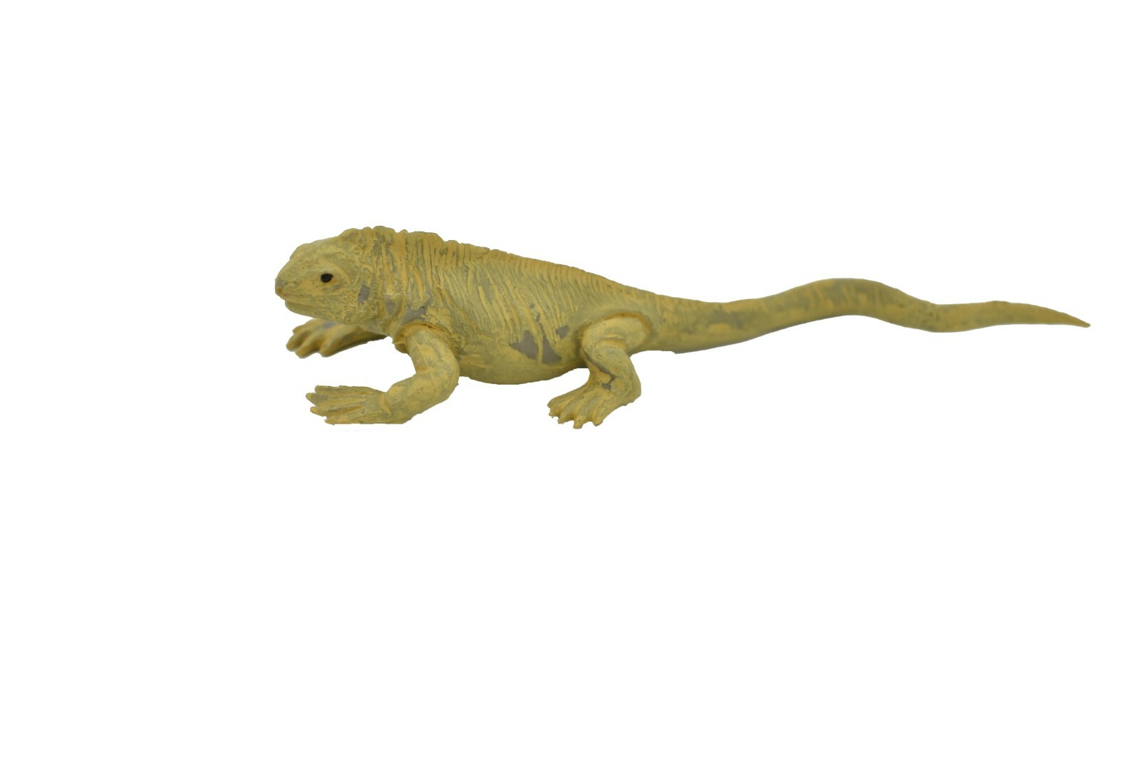 Iguana, Land Galapagos Islands Plastic Replica 4-inch plastic – F1525 B150