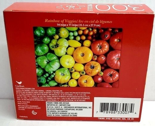 NEW 300 PC PUZZLE SET JIGSAW RAINBOW VEGGIES COLORFUL GUITARS ANTELOPE CANYON