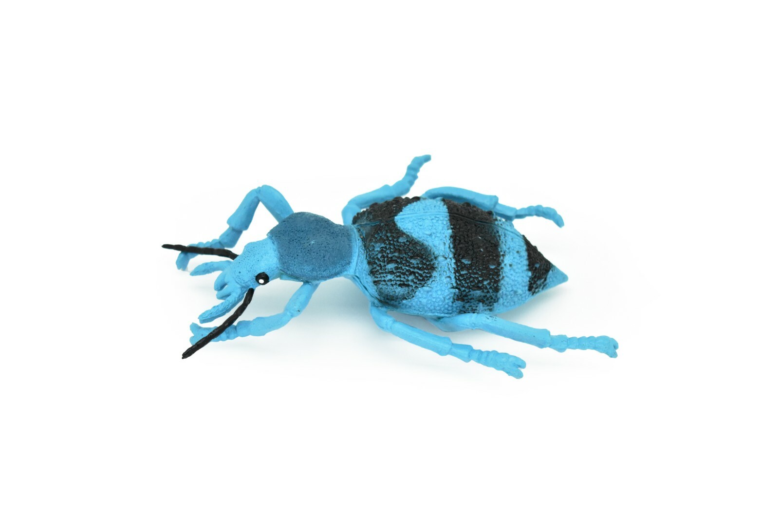 Beetle, Blue and Black, Weevil Very Nice Rubber Replica 5″ – F2065 B133