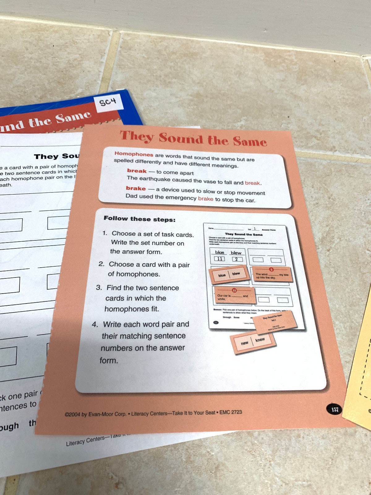 Teacher Made Literacy Center, Classroom Center-Homophones SC4