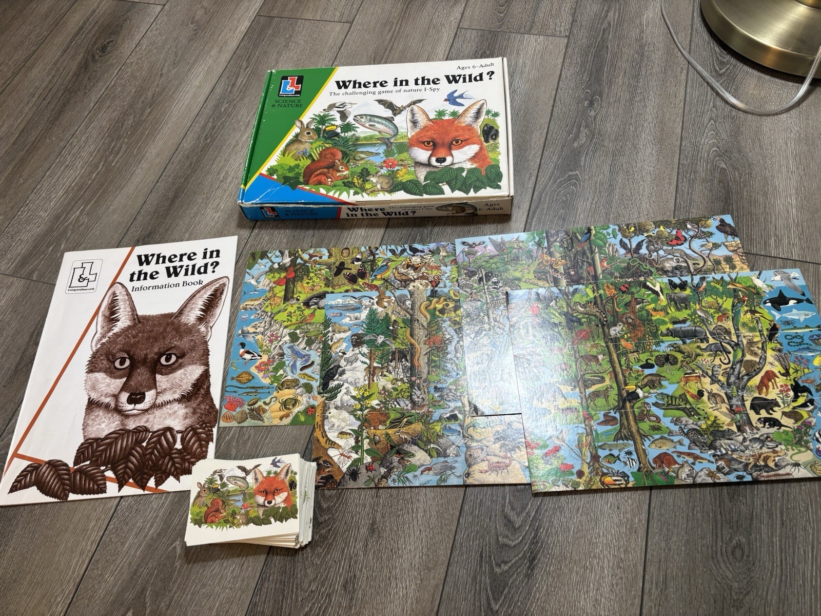 Living And Learning Where in the Wild I Spy Game Homeschooling Game