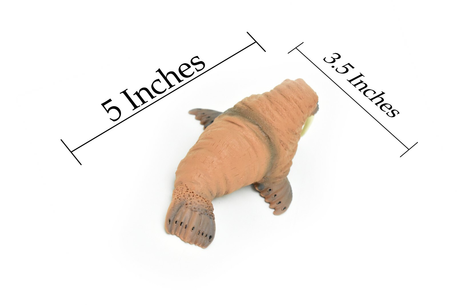 Walrus, Realistic Toy Hard Resin Model Replica, Kids Educational Gift 5″ OK05