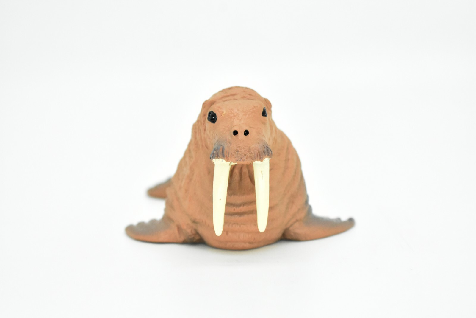 Walrus, Realistic Toy Hard Resin Model Replica, Kids Educational Gift 5″ OK05