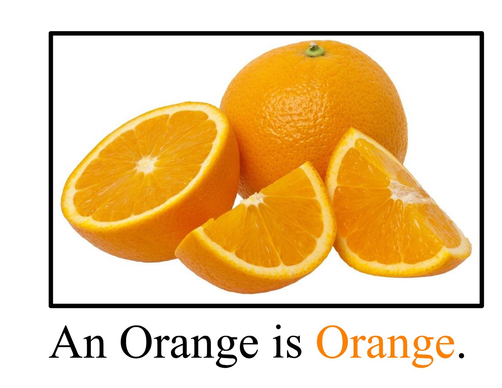 Orange | The Orangest Orange | LEARNING COLORS | Spiral Bound Picture Book