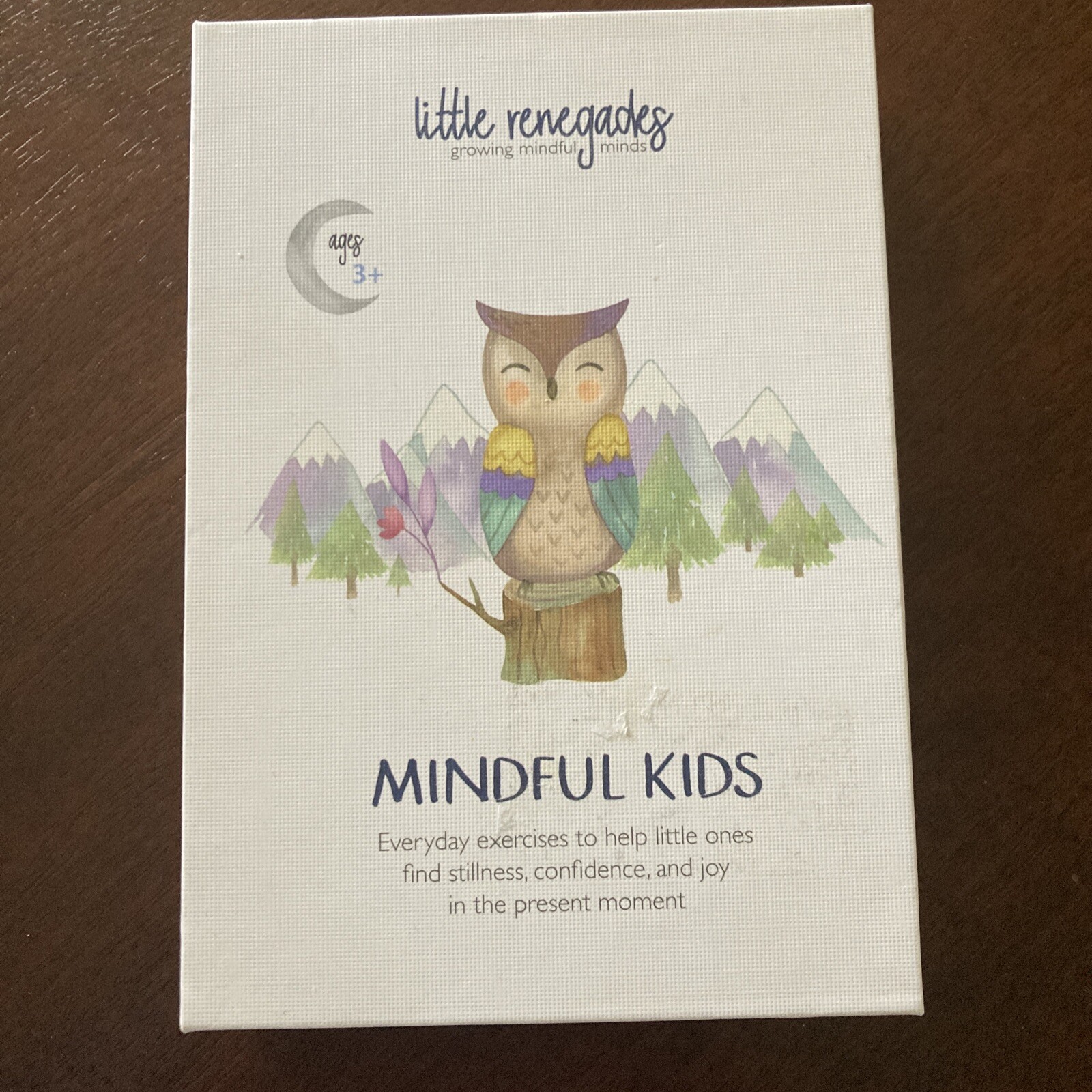 Little Renegades-Mindful Kids Cards, Easy Mindfulness Exercises for Children NIB