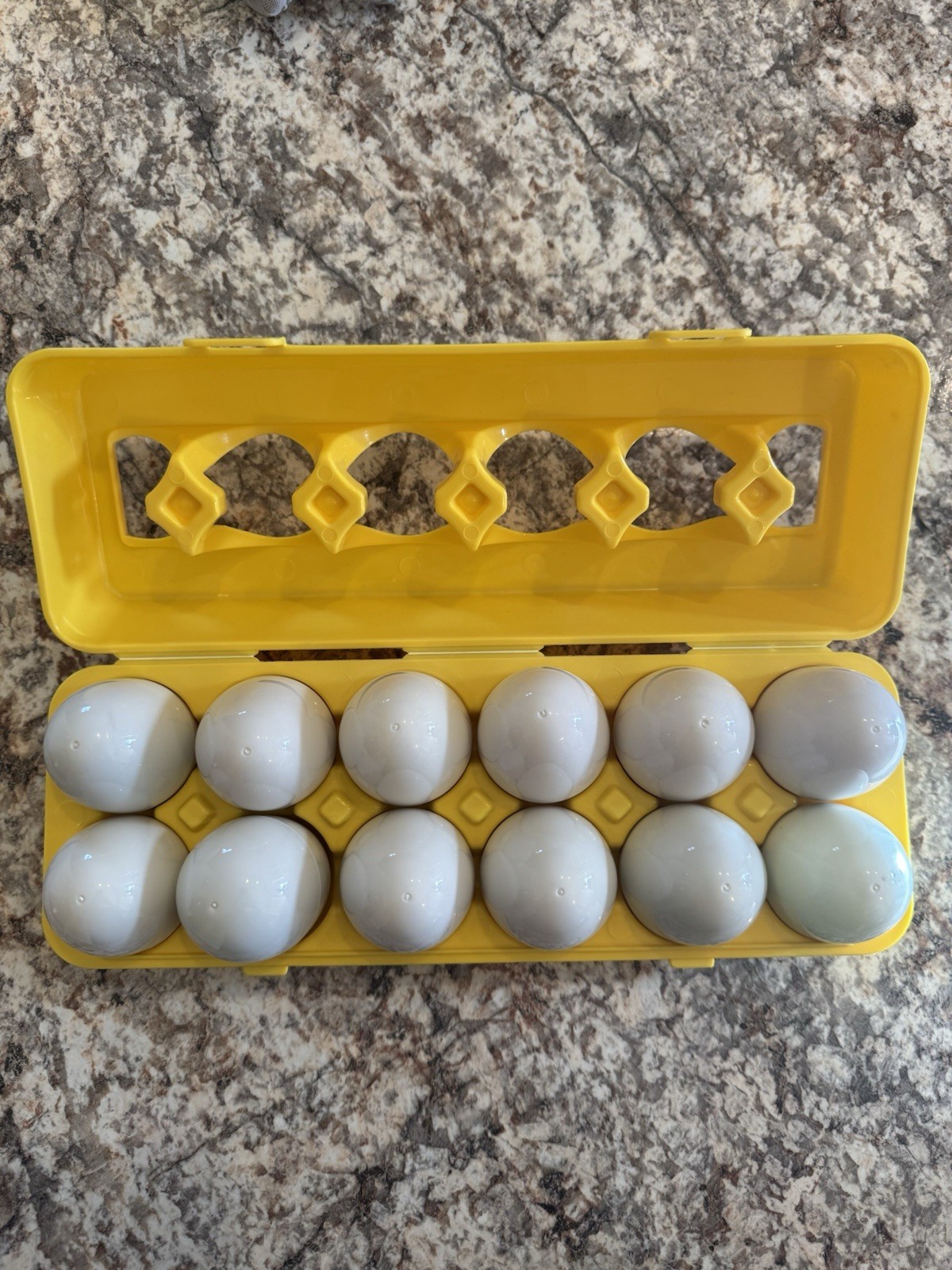 Shape Sorter Eggs Yellow Carton Shapes/Colors Multicolor