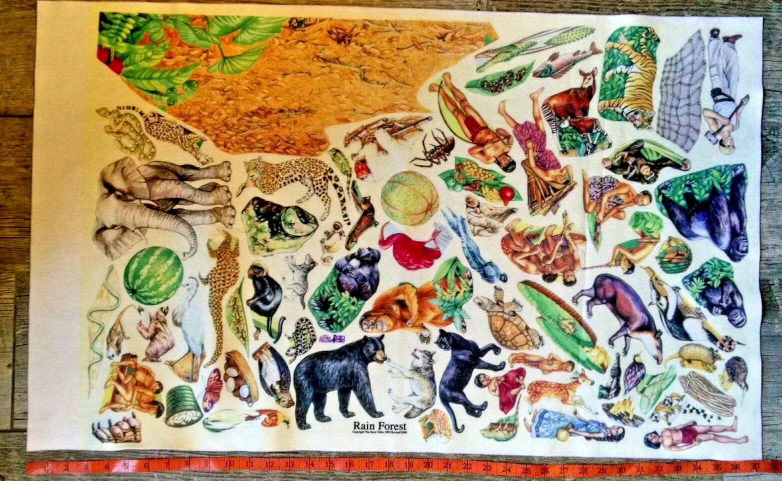 Story Time Felts – 38″ X 22.5″ Story Teller Rain Forest Flannel Board Set