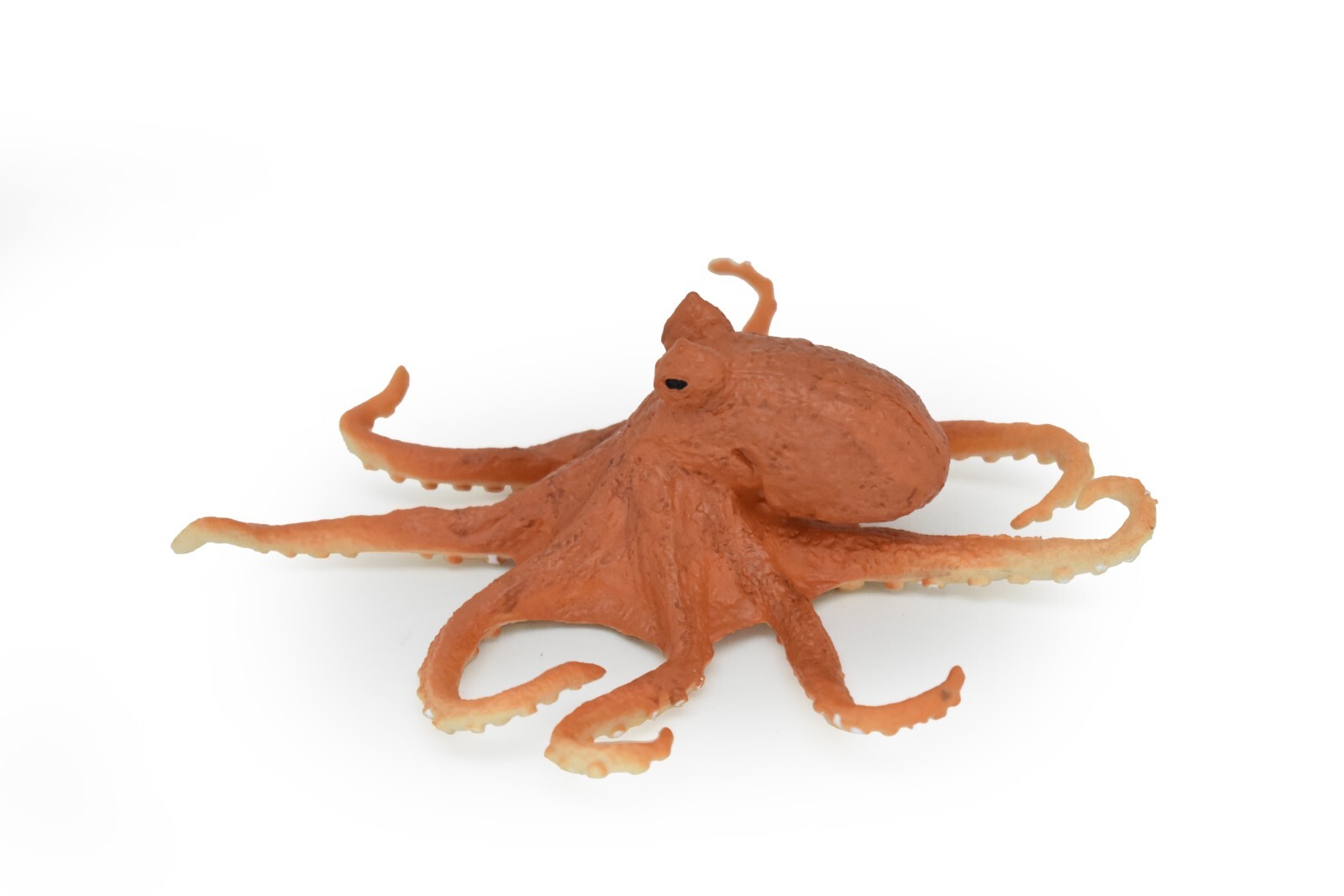Octopus, Museum Quality Rubber Reproduction Hand Painted 5″ F449 B6