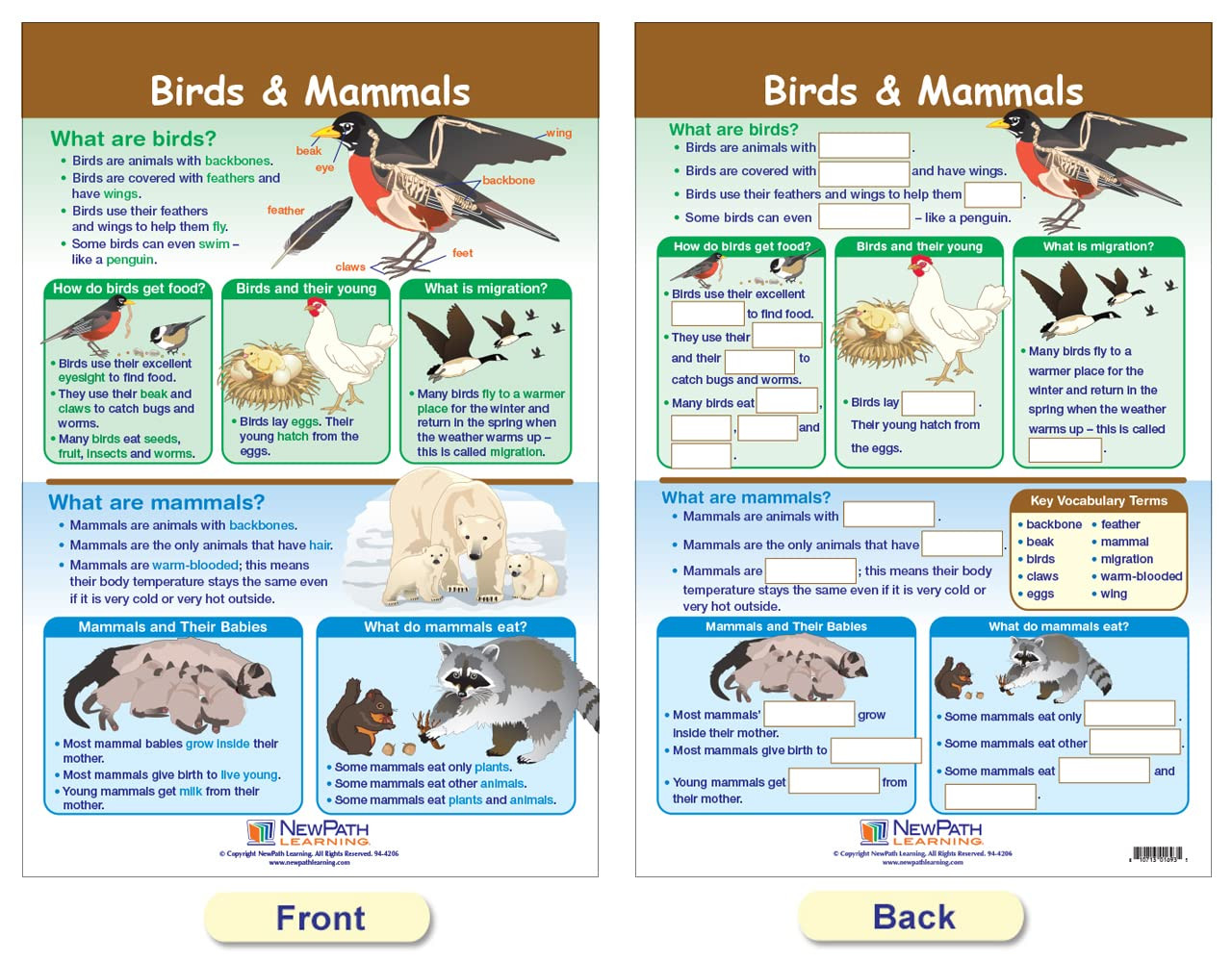 -94-1501 All about Animals Bulletin Board Chart Set (Pack of 5)