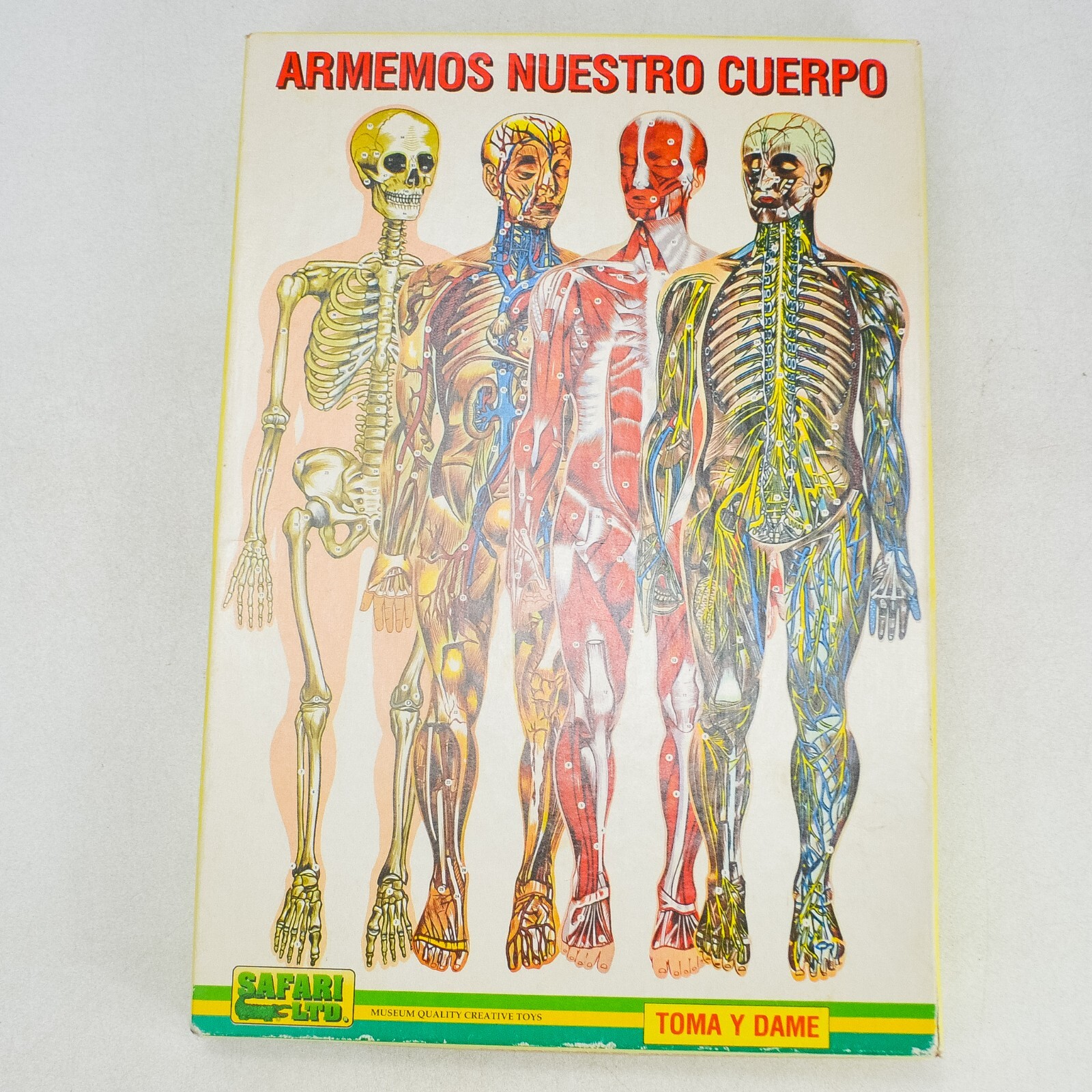Armemos Nuestro Cuerpo, Safari LTD Museum Quality Toys, Anatomy Puzzles Columbia