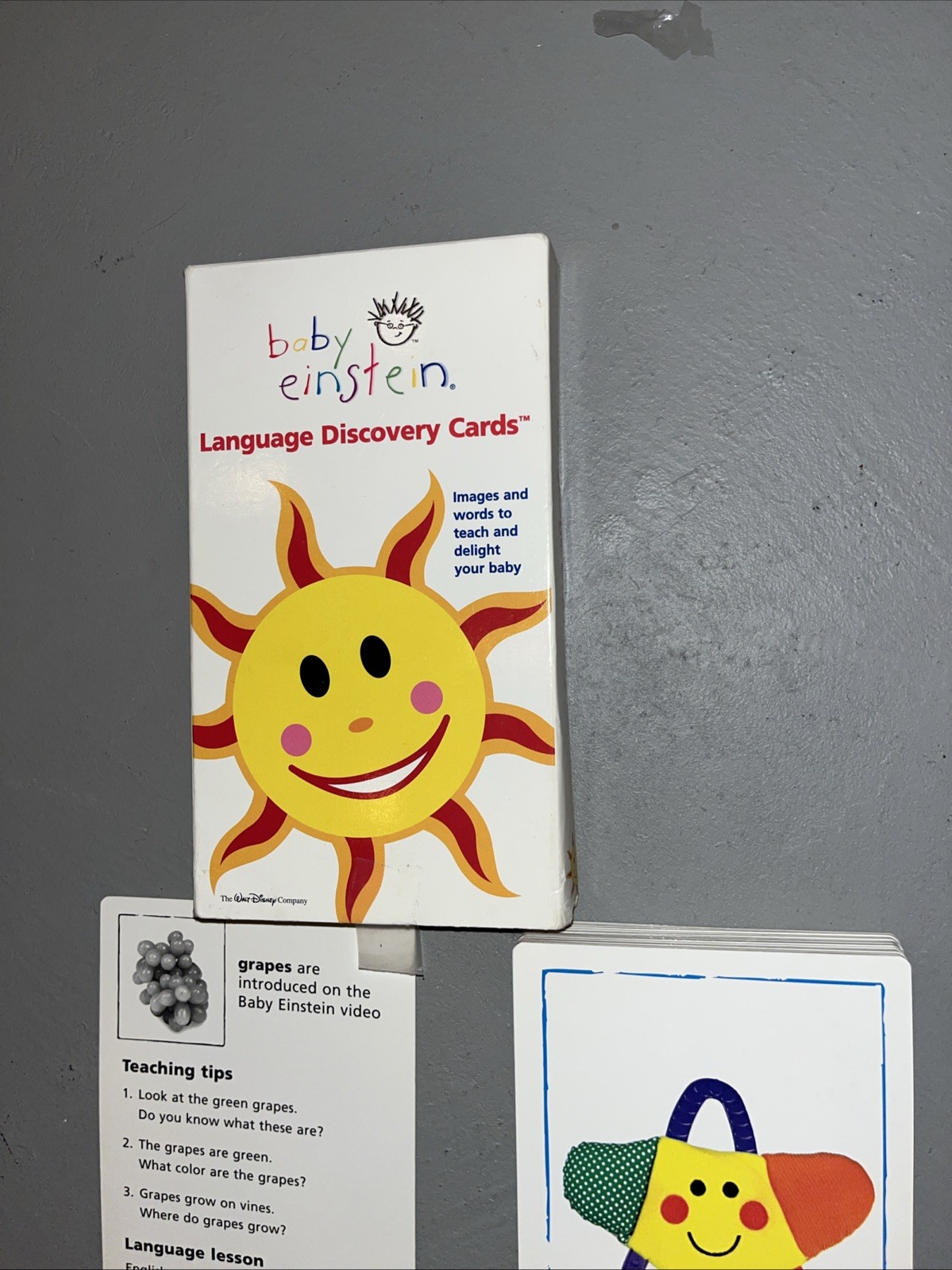 Baby Einstein Language Discovery Cards Educational Words Babies 1999 COMPLETE!