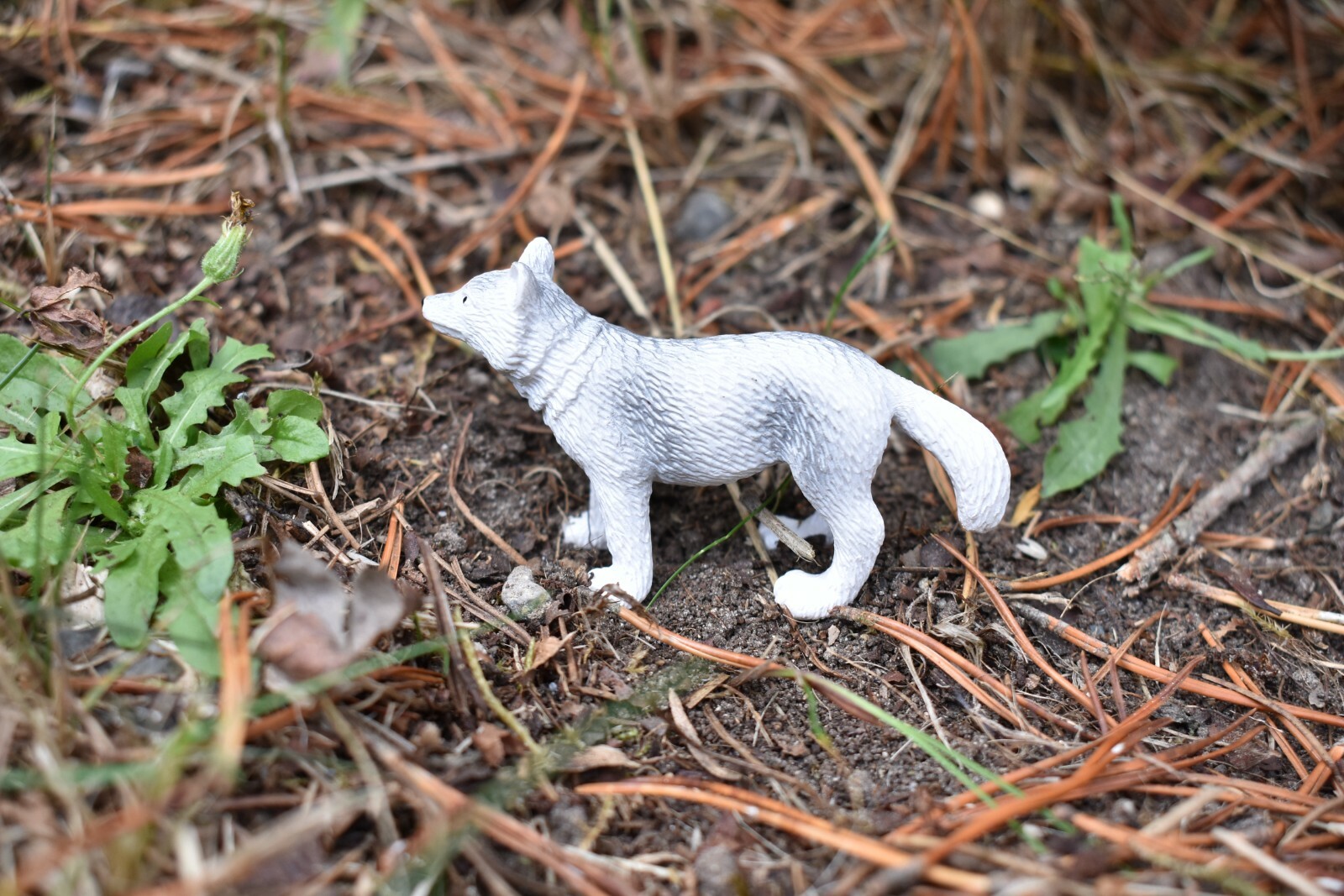 Fox, Arctic, White, Plastic Animal, Educational, Toy, Kids, Realistic 3″ OK21
