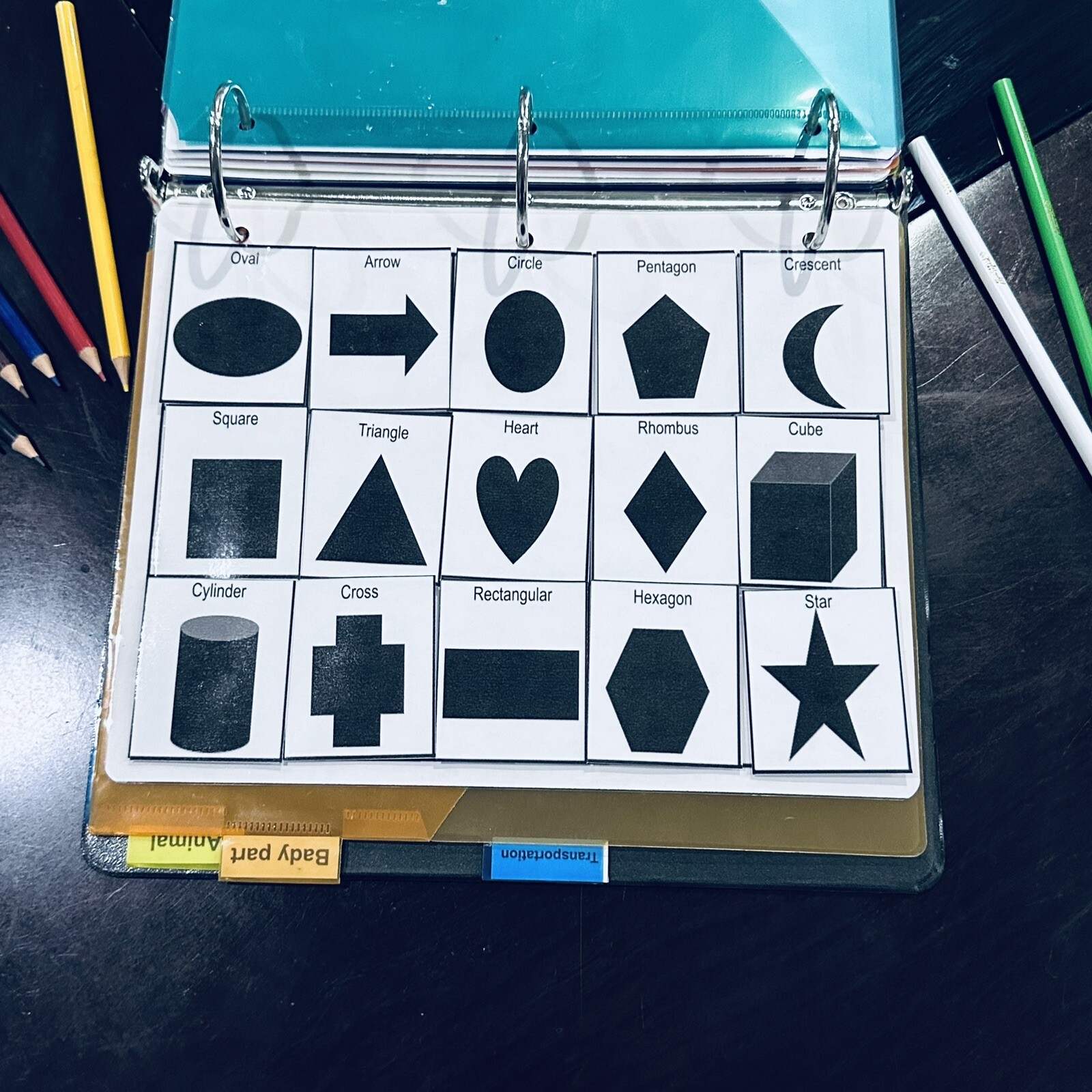 250 pictures for non verbal communication, therapy, gift idea teachers autism