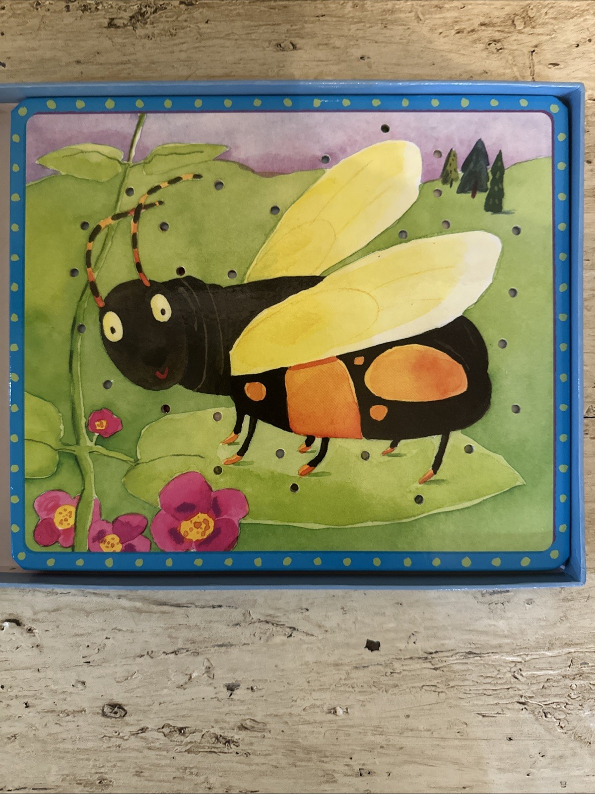 Vintage 2004 eeBoo More Friendly Bugs Lacing Sewing Cards 5 Cards & Laces