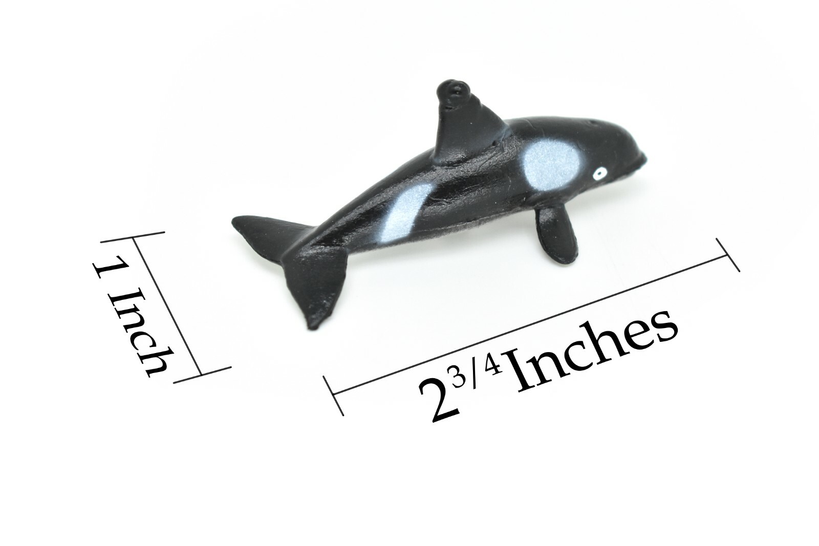 Orca, Killer Whale, Very Nice Plastic Replica 2 3/4″ – F601 B35