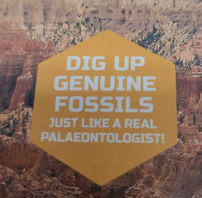 Discovery #Mindblown Colossal Fossil Dig Excavation Kit 15 Different Types New