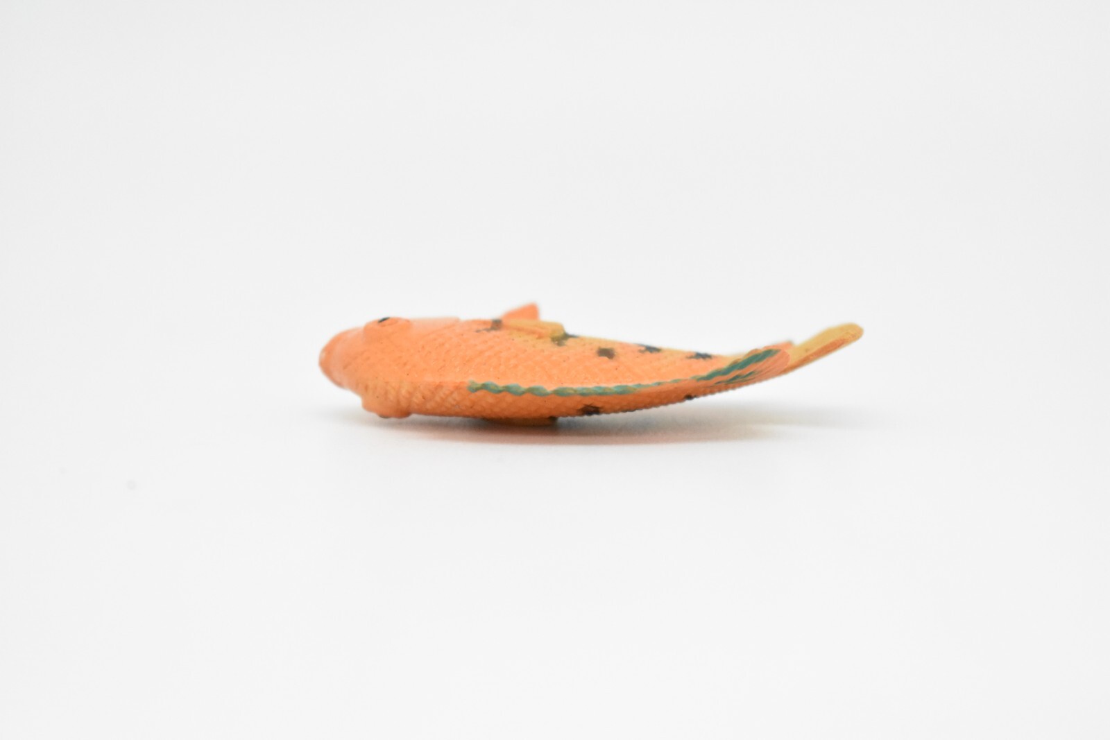 Angelfish Toy, Flame Ciclid, Realistic Tropical Fish, Plastic Replica 2″ CWG273