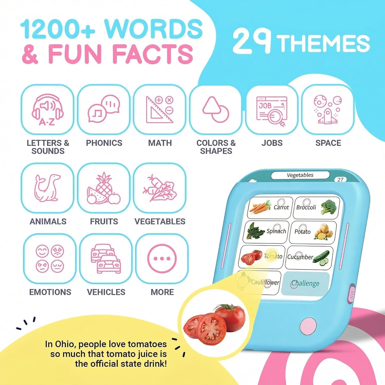 1200+ Words & Fun Facts Flashcards