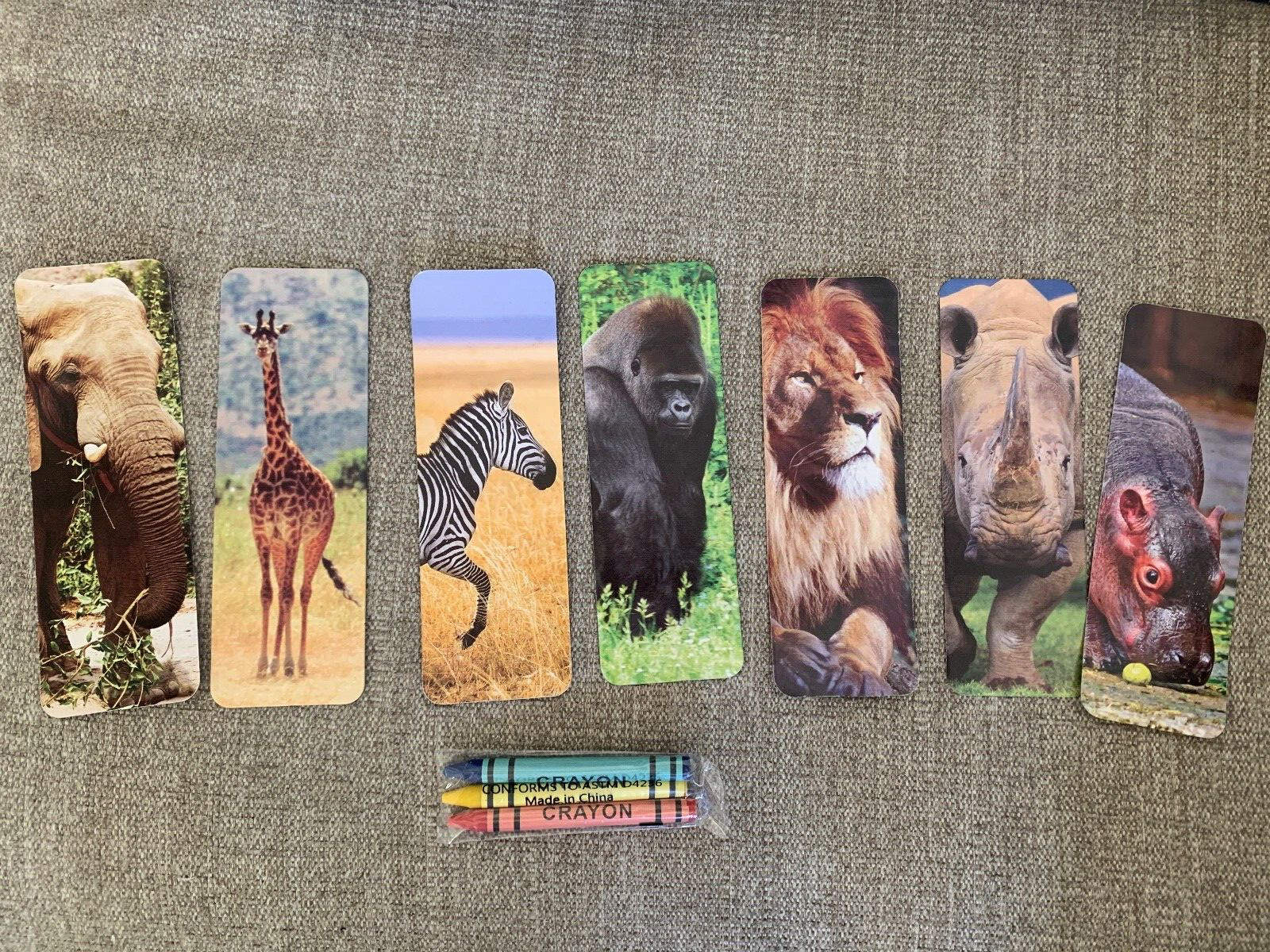 Kids DID YOU KNOW Cards African Safari Animals & Crayons Learning Educational