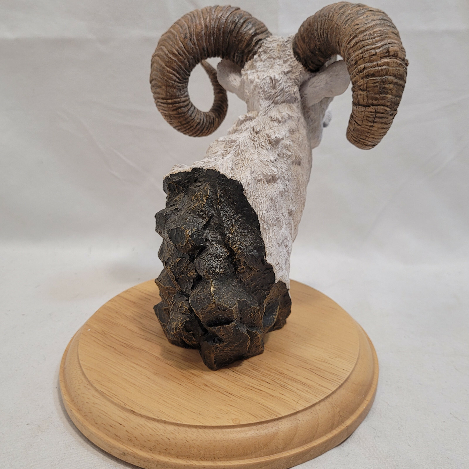 Simpkins Animal Dall Sheep / Ram Bust # 51476RB Wood Base 7″ Tall