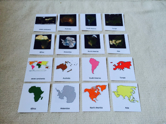 Montessori 7 Continents 5 Parts Cards