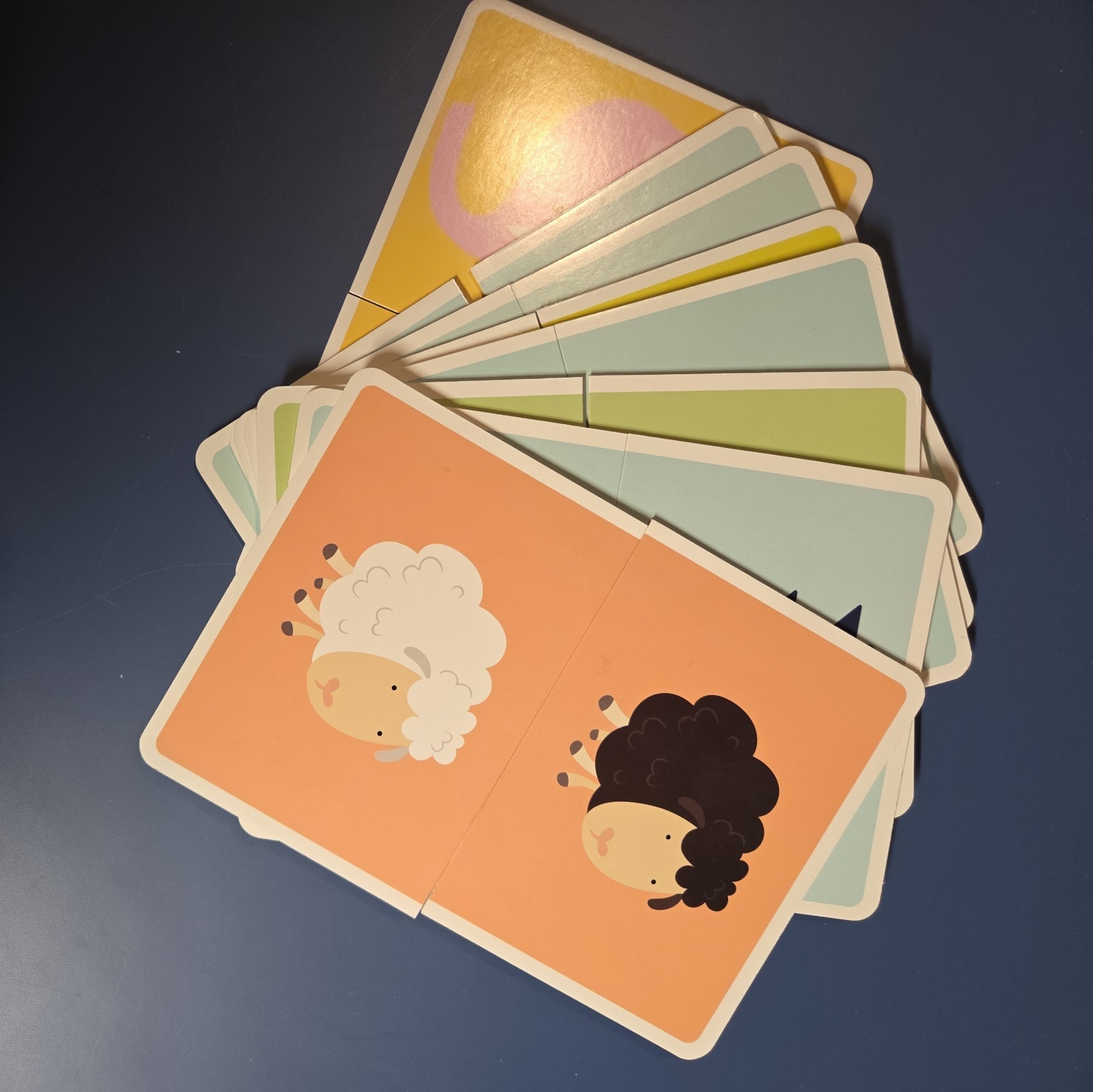 Jr. Explorers Opposites Teachers Slide & Learn Flash Cards! Educational/Learning