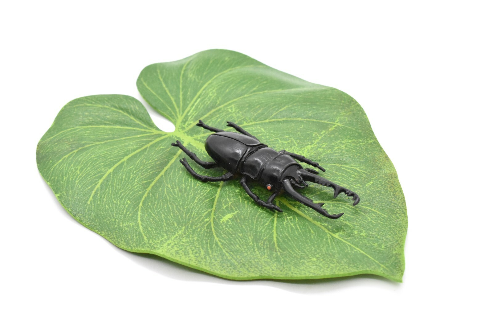Stag Beetle, Very Nice Rubber Reproduction 2 3/4″ CWG07 B13