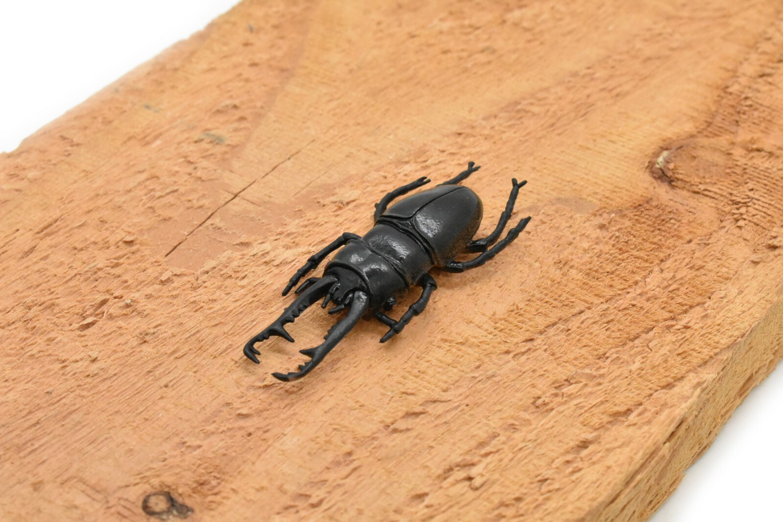 Stag Beetle, Very Nice Rubber Reproduction 2 3/4″ CWG07 B13