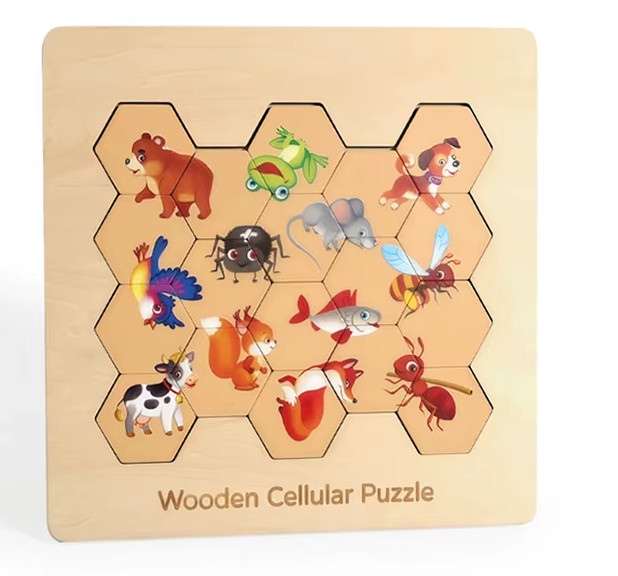 Honey Comb STEM Educational Toy Mind Games Wooden Brain Teaser Puzzles for Kids