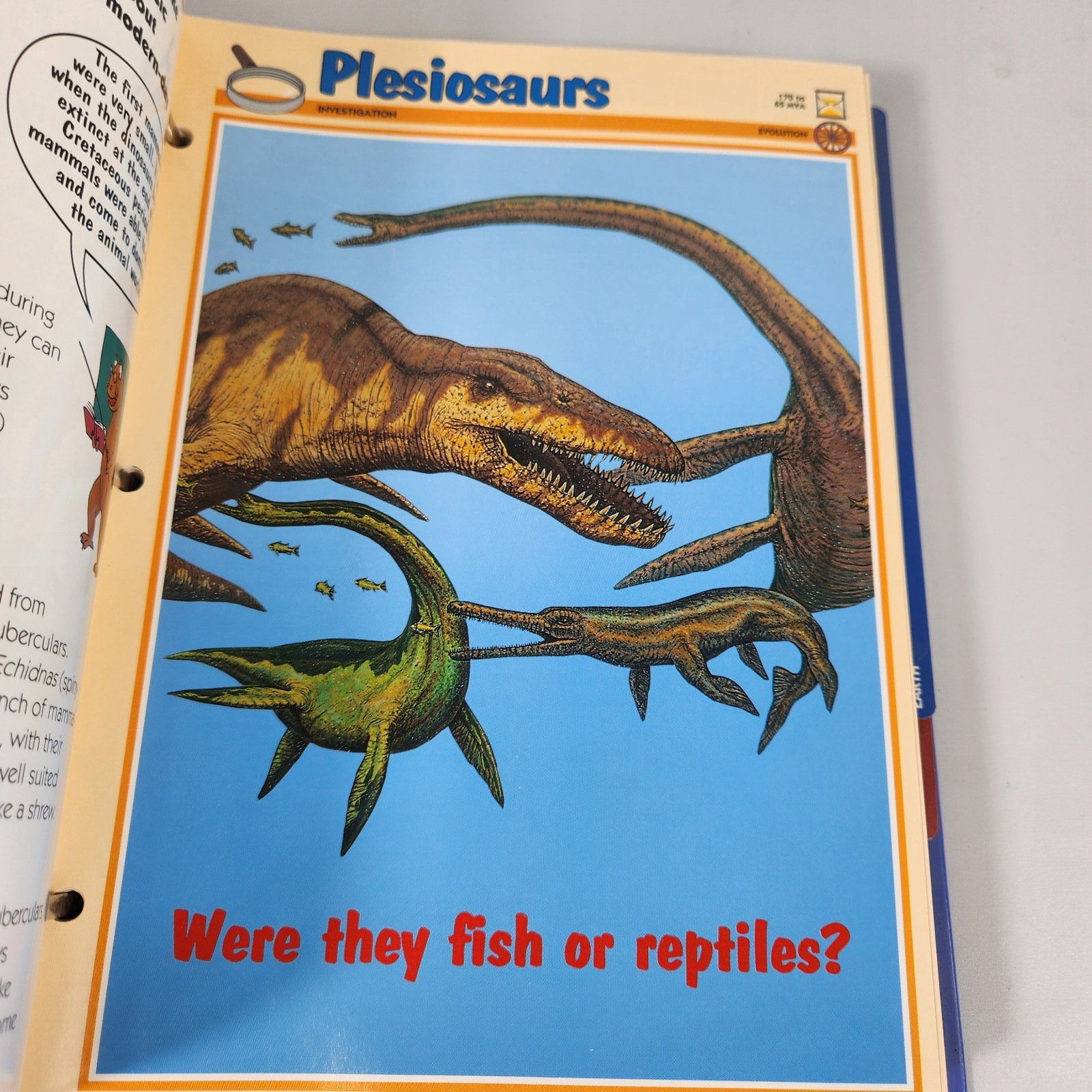 Newfield Publications DINOSAUR CARDS SET with 3 Ring Folder/Binder