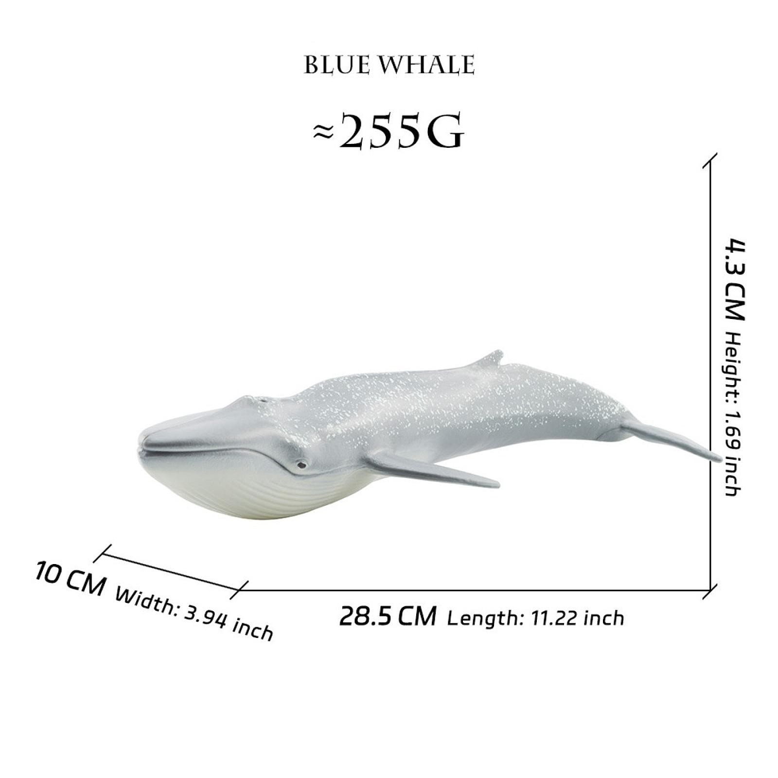 Simulation Animal Toy Model Decoration Sea Animal Toy for Boys Children Girls
