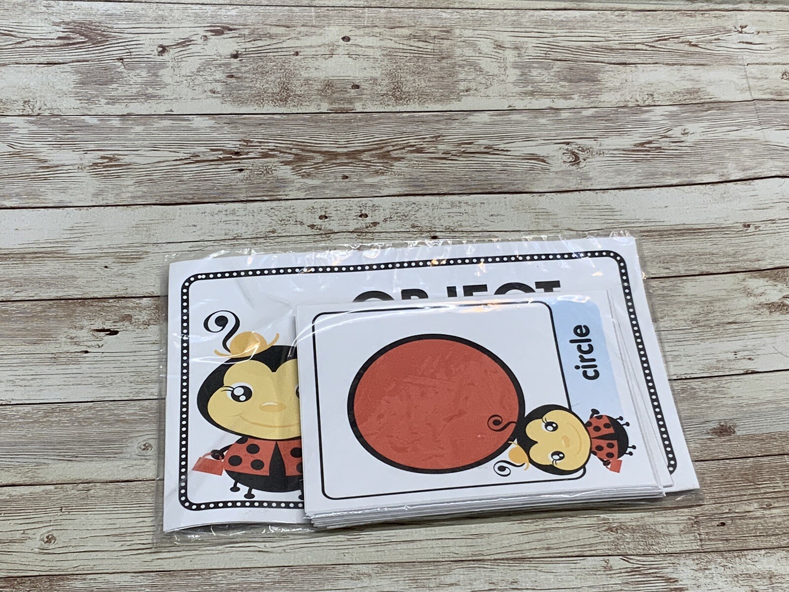 Ladybugs – Themed Learning Centers – Laminated – Object Shape Match