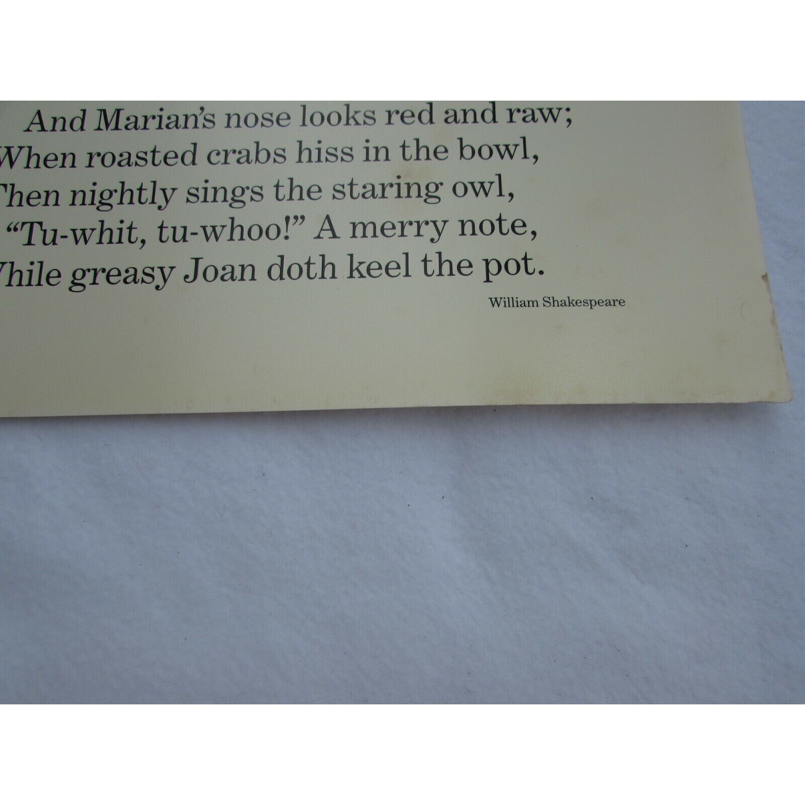 When Icicles Hang the Wall School Poster William Shakespeare 30254 Poetry VNTG