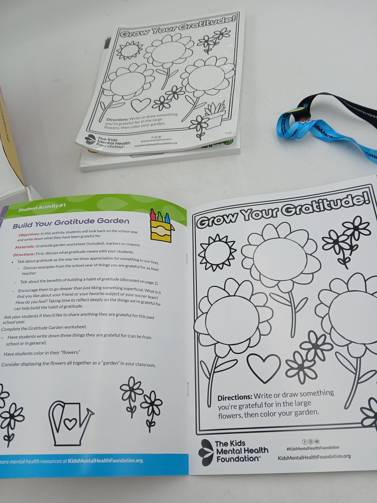 The Kids Mental Health Foundation Mental Wellness Growing Gratitude Teacher Kit