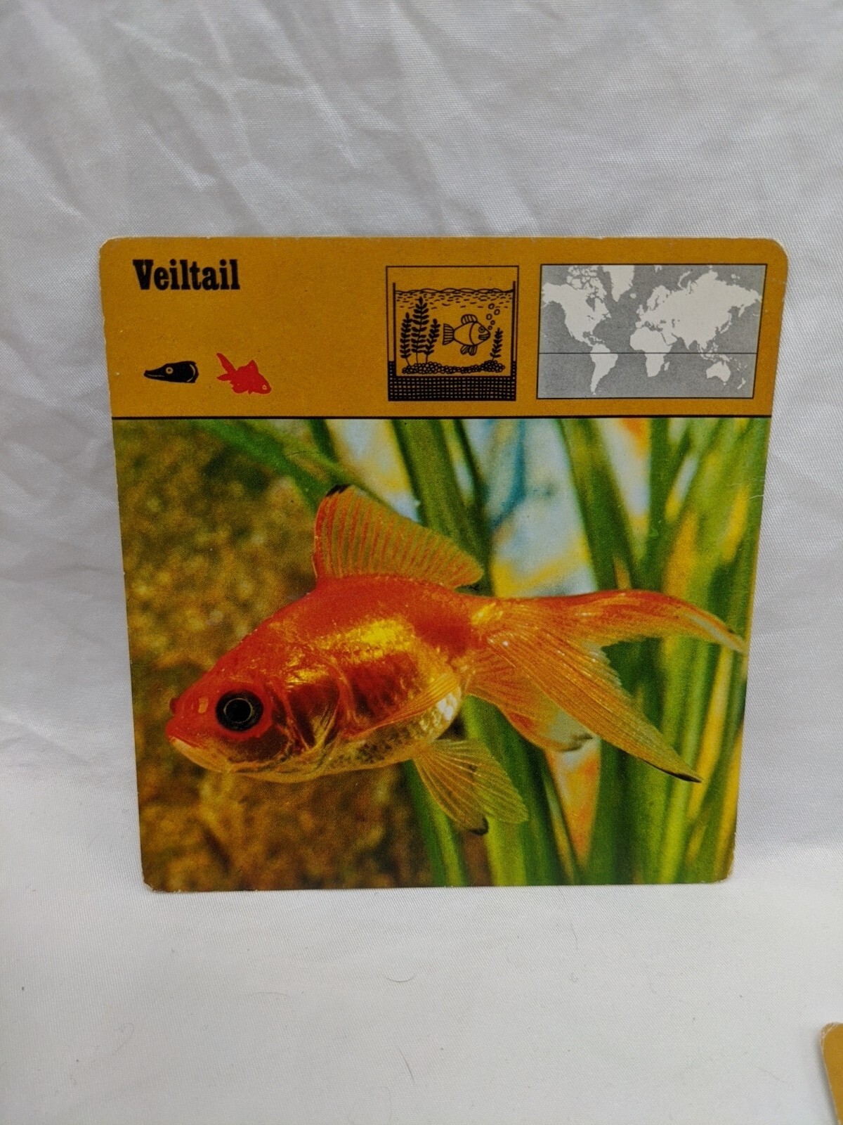 Lot Of (10) 1975 Rencontre Bony Fishes 1 Education Cards