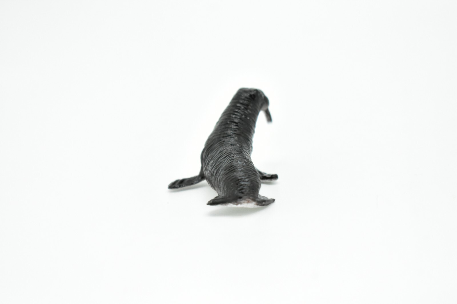 Walrus, Very Nice Plastic Replica 2″ ~ F0042-B123
