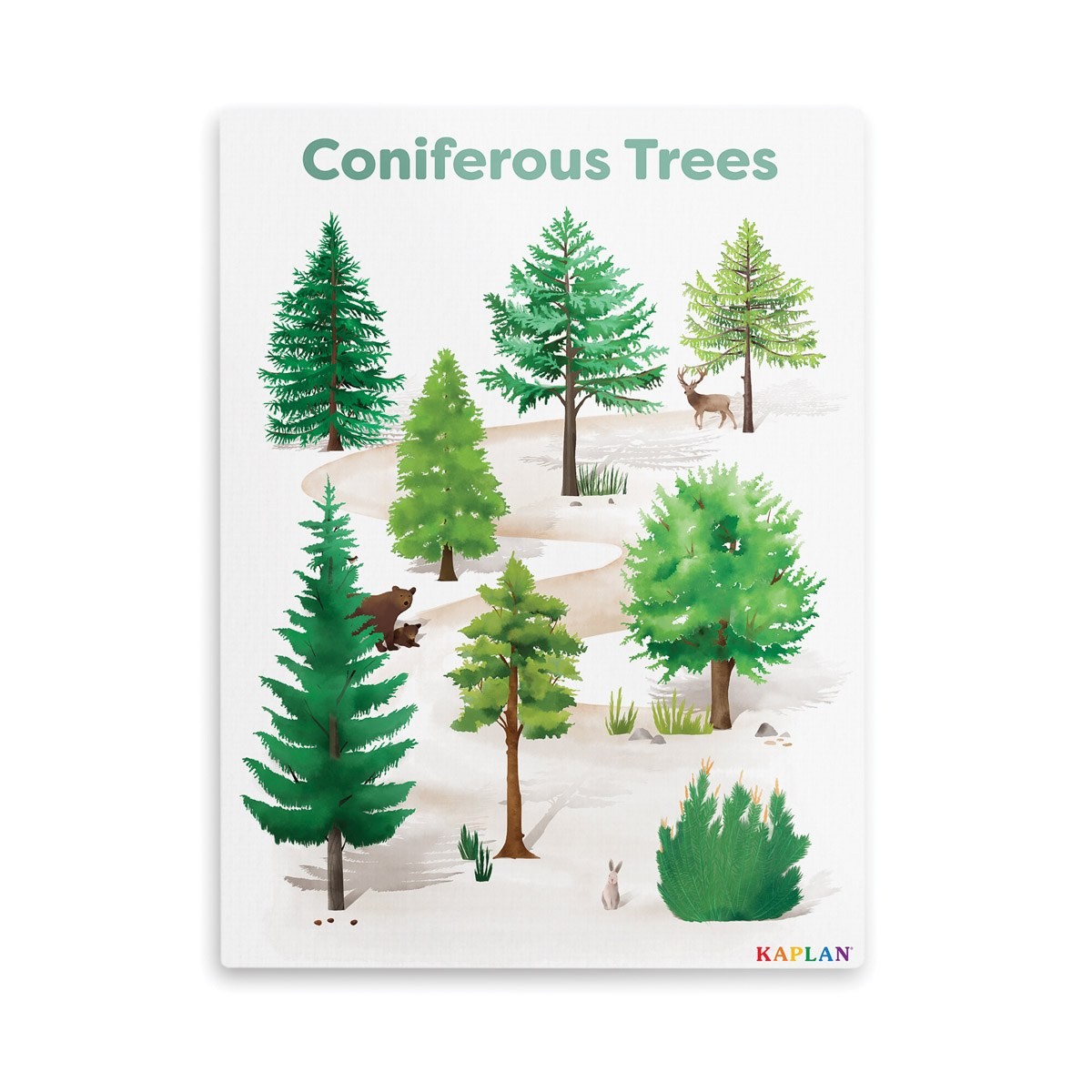 Kaplan Early Learning Coniferous Tree Giclee Classroom Wall Print