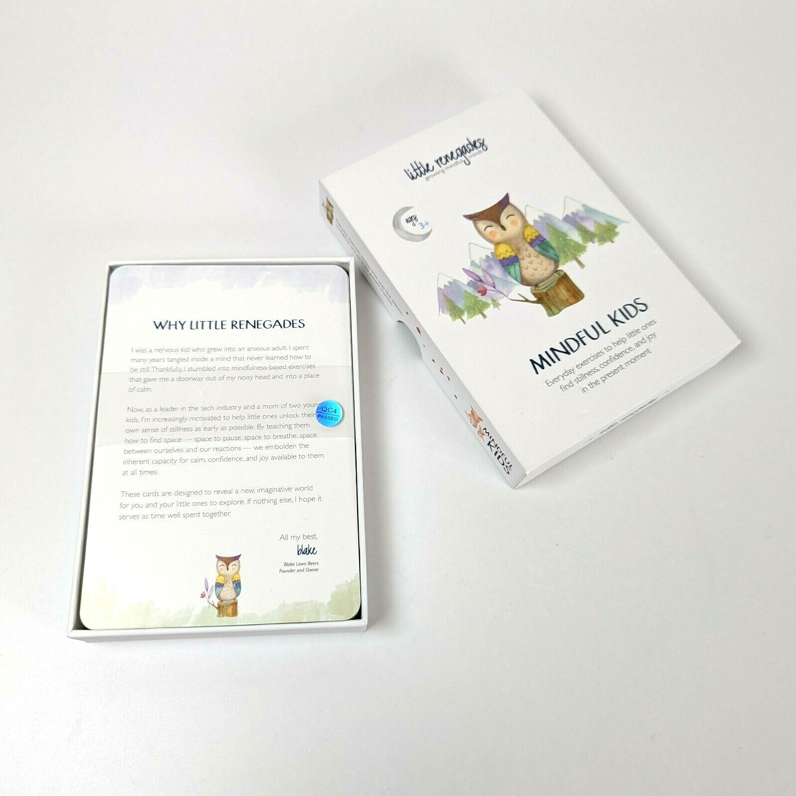 Little Renegades Mindful Kids Guided Meditation Cards Educational Montessori