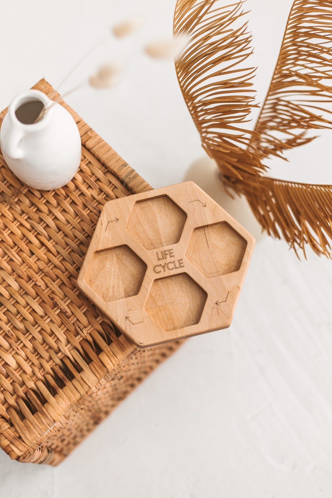 Life cycle plate, hexagon, wooden nature toys, learning activity toys homeschool