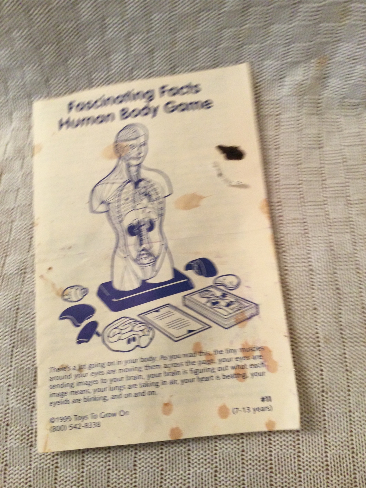 Vintage 1995 Fascinating Facts Of The Human Body Model Learning Quiz Card Game