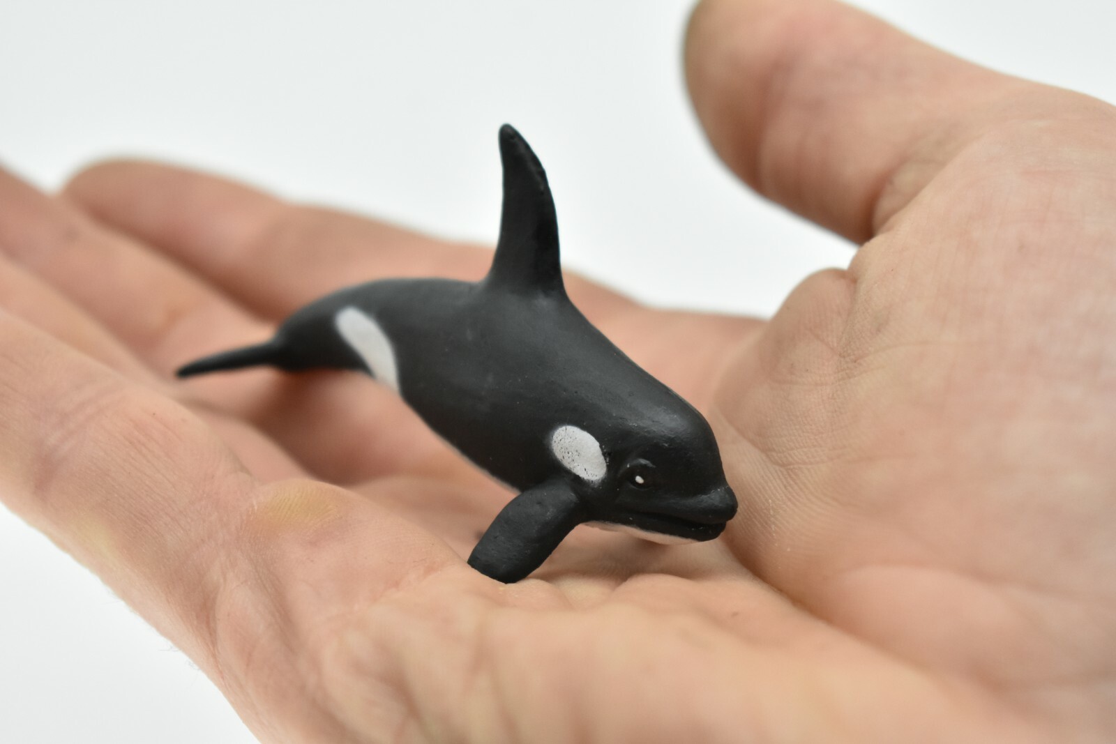Killer Whale Plastic Replica 3Long ~ F3907-B9